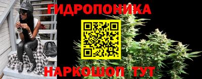 таблы Новокубанск
