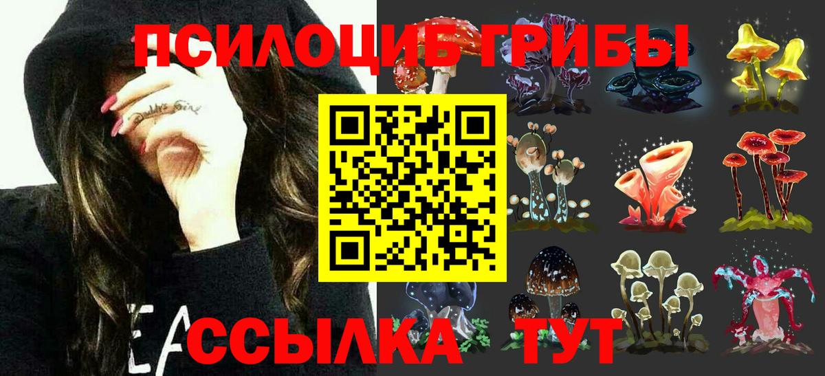 Псилоцибиновые грибы Psilocybe  Галлюциногенные грибы Psilocybe  Тара  Вход с VPN 